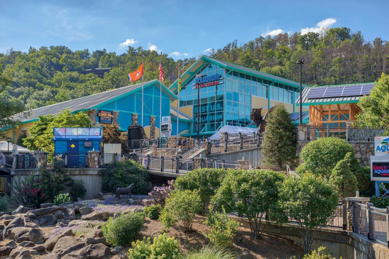 5Bd5B Escape Cabin With 2 Hottubs, Thtr &Game Rm,1Mi To The Parkway! 4Mi To Dollywood - Spring Deal Pigeon Forge Zewnętrze zdjęcie